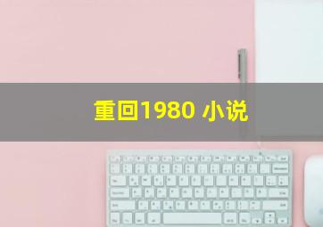 重回1980 小说